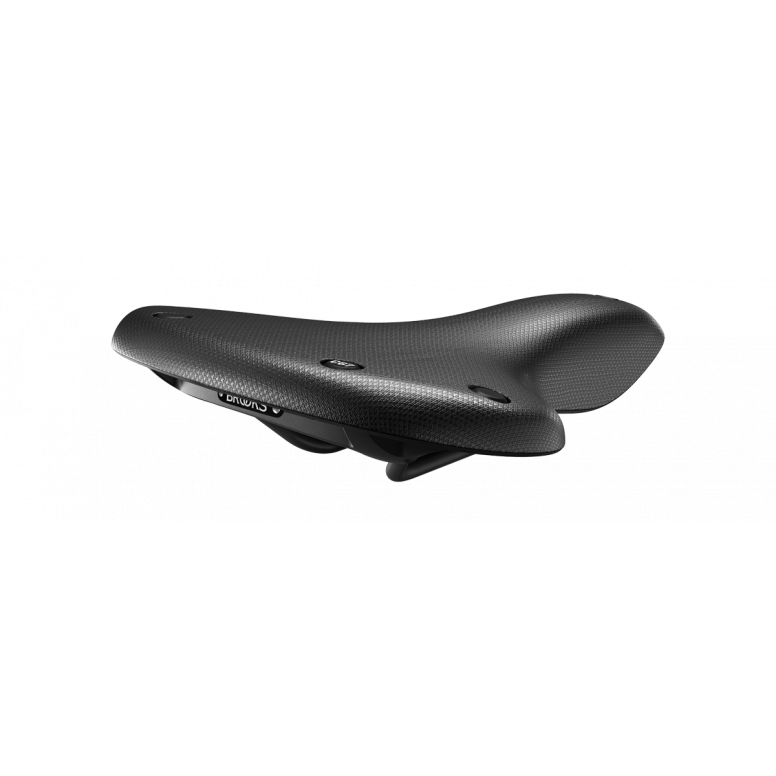 C67 Cambium