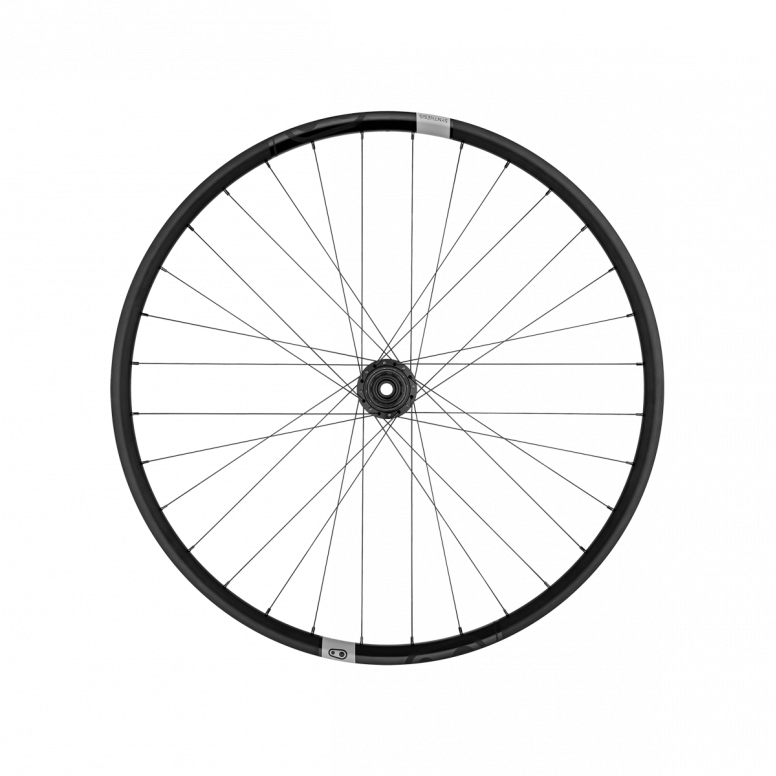 Synthesis Alloy XCT 29 Rear
