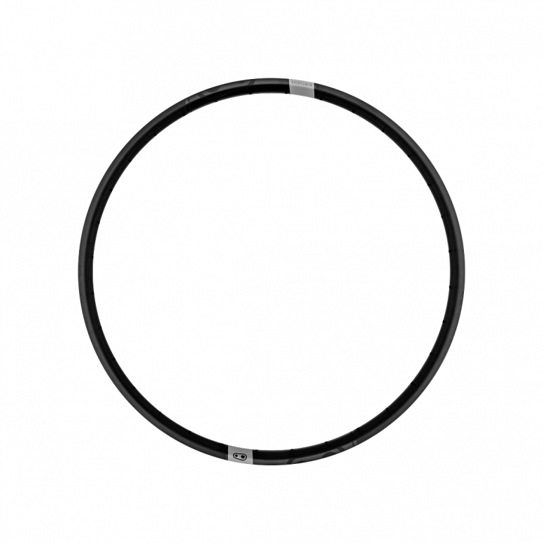 Synthesis Alloy Enduro V1 Rim