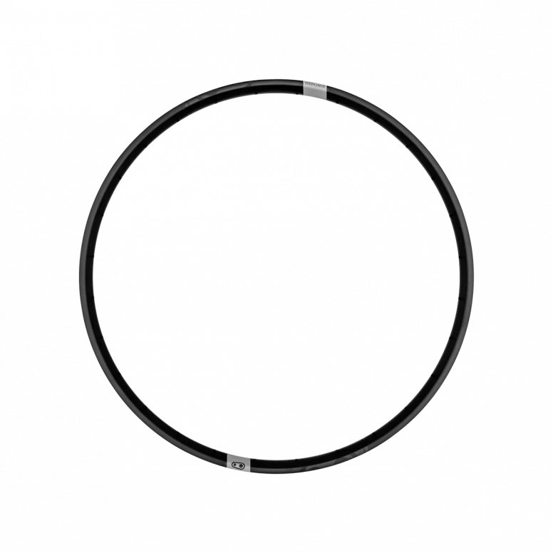 Synthesis Alloy E-bike Rims