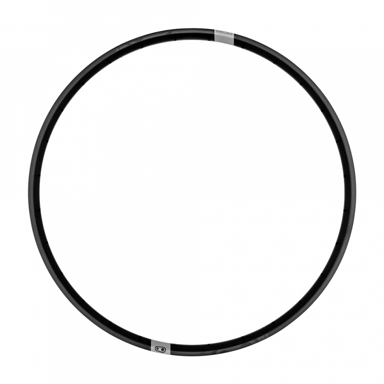 Synthesis Alloy DH Rim