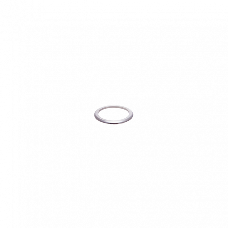 eeWings Crank Bolt Washer