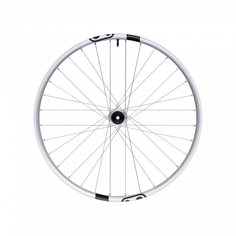 Synthesis Alloy 2.0 DH 1/1 Rear 148x12 Wheel