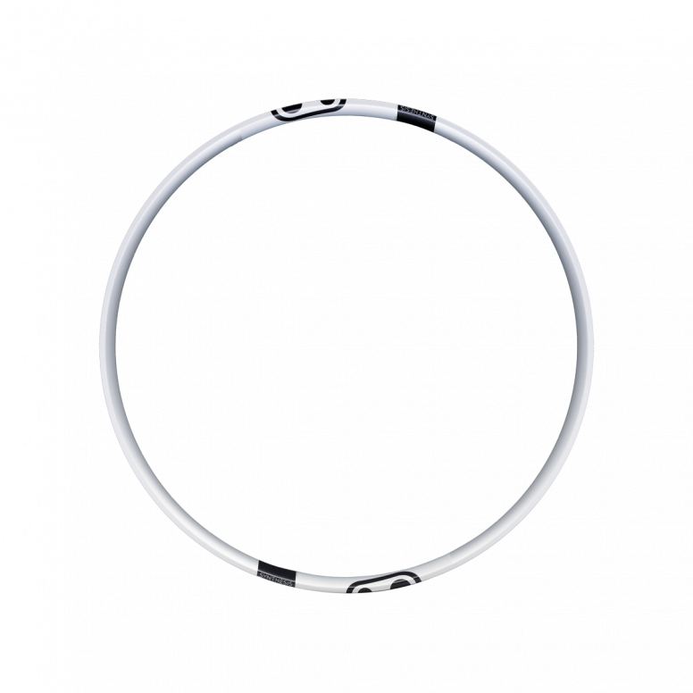 Synthesis Alloy 2.0 Enduro Rim