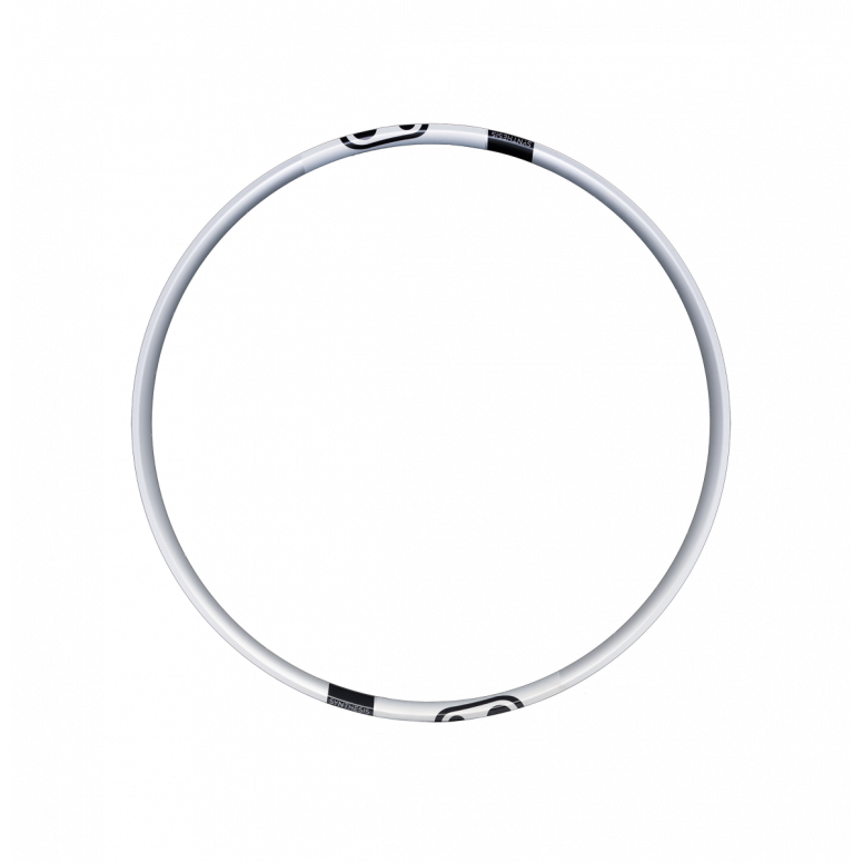 Synthesis Alloy 2.0 DH/E-Bike Rim
