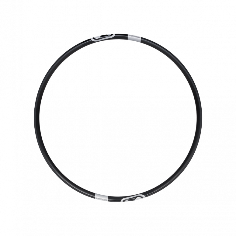 Synthesis Alloy 2.0 DH/E-Bike Rim